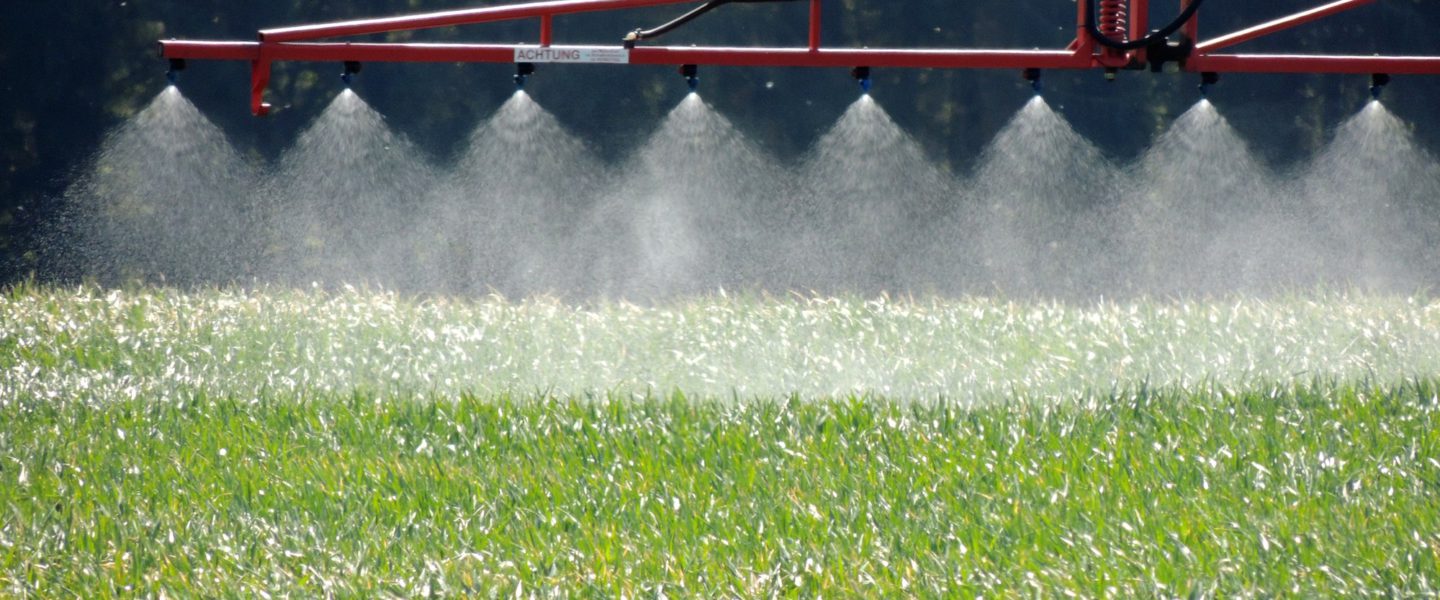 Bien utiliser les désherbants : l’essentiel à connaître