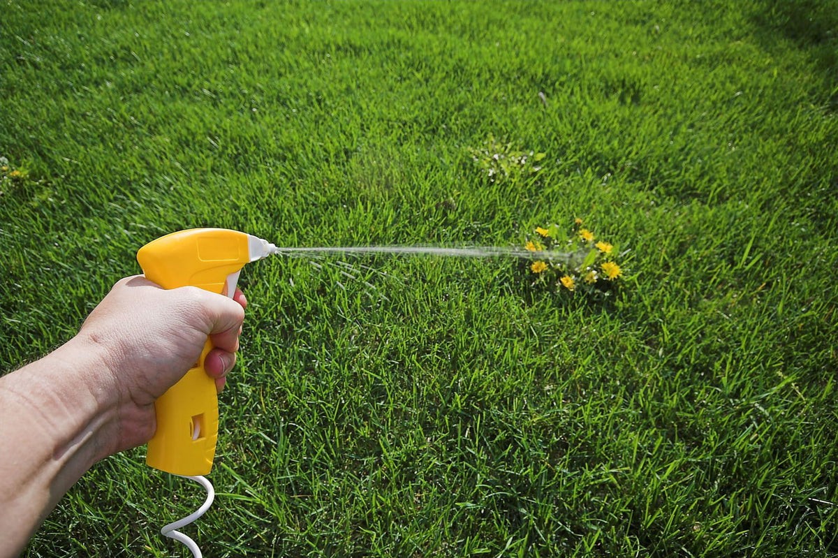 Les désherbants : des alliés pour un jardin maîtrisé