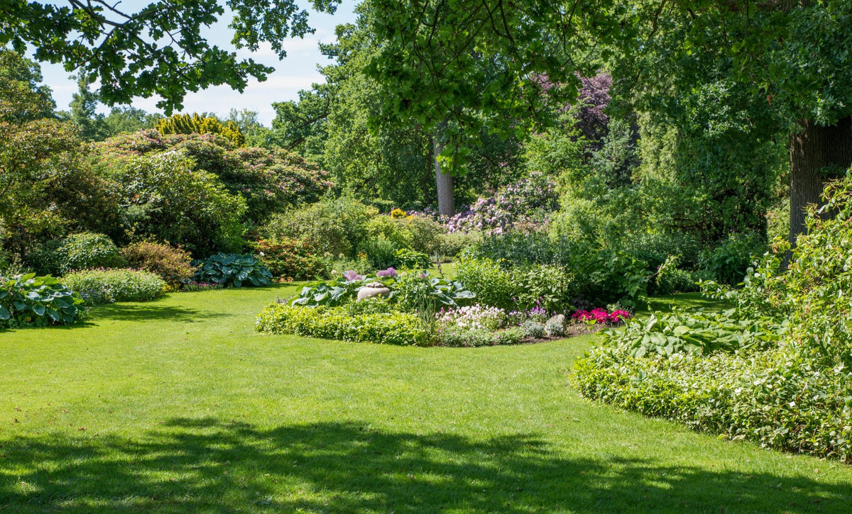 Garder un jardin net et équilibré toute l’année